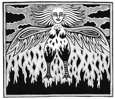 Fire Bird by Liz Parkinson