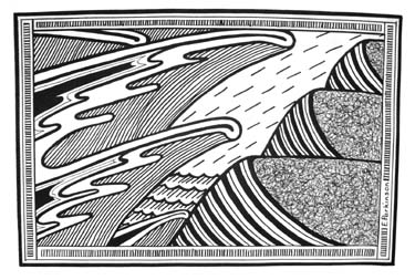 Wild Sea by Liz Parkinson