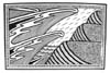 Wild Sea by Liz Parkinson